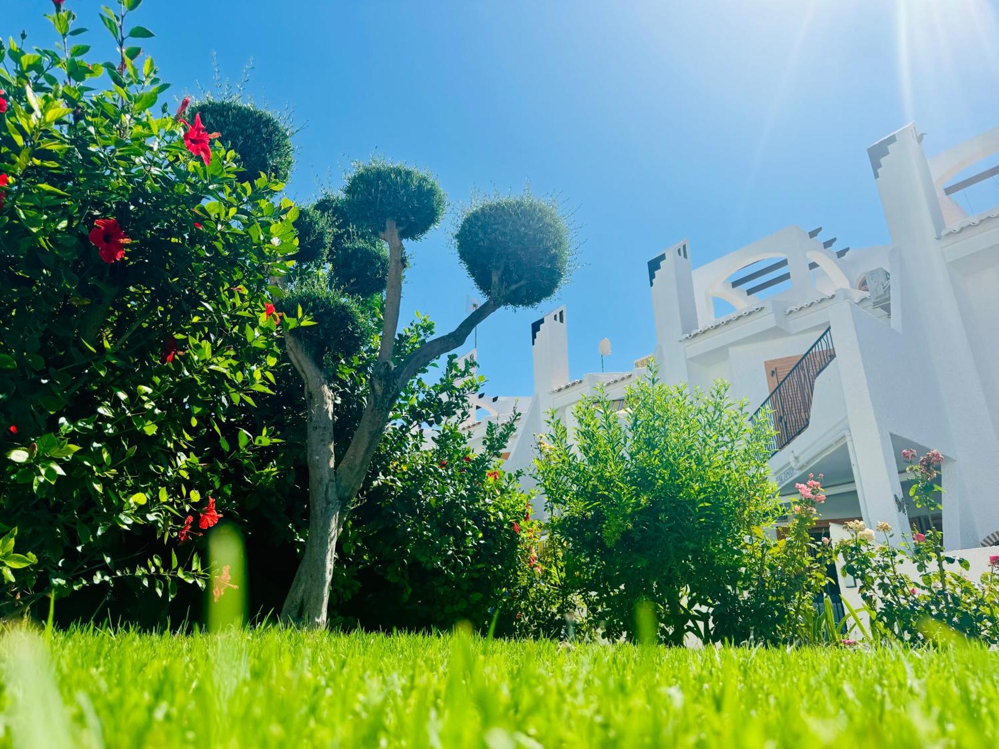 Contemporary House In Cabo Roig Villa โอริอุเอลา ภายนอก รูปภาพ